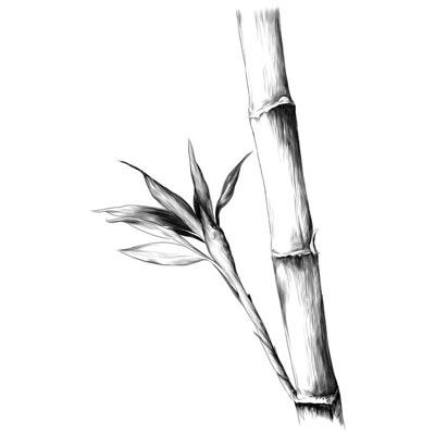 essen.bambus